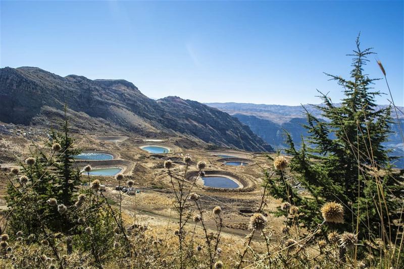 💙  hiking  naturephotography  nature  lebanonisbeautiful  wearelebanon ... (Akoura, Mont-Liban, Lebanon)