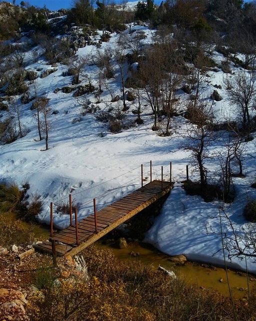  Hiking or  Snowshoeing?You can enjoy both in  JabalMoussa ! ecotourism... (Jabal Moussa)