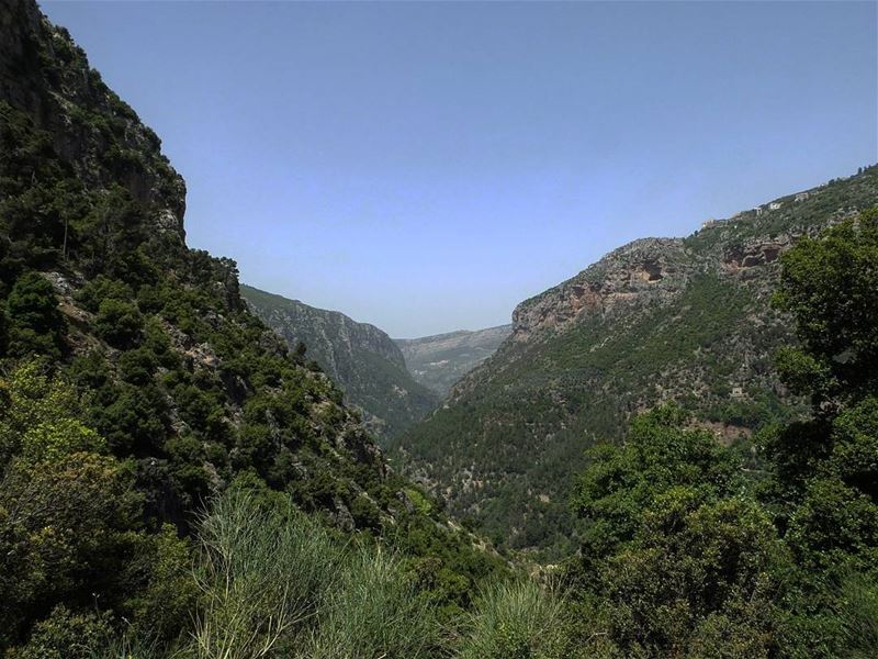  hiking  qannoubine  qannoubinevalley  annoubine  lebanon  green  culture ...