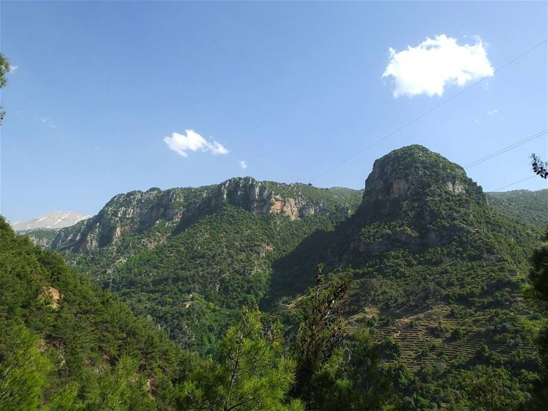  hiking  qannoubine  qannoubinevalley  annoubine  lebanon  green  culture ...