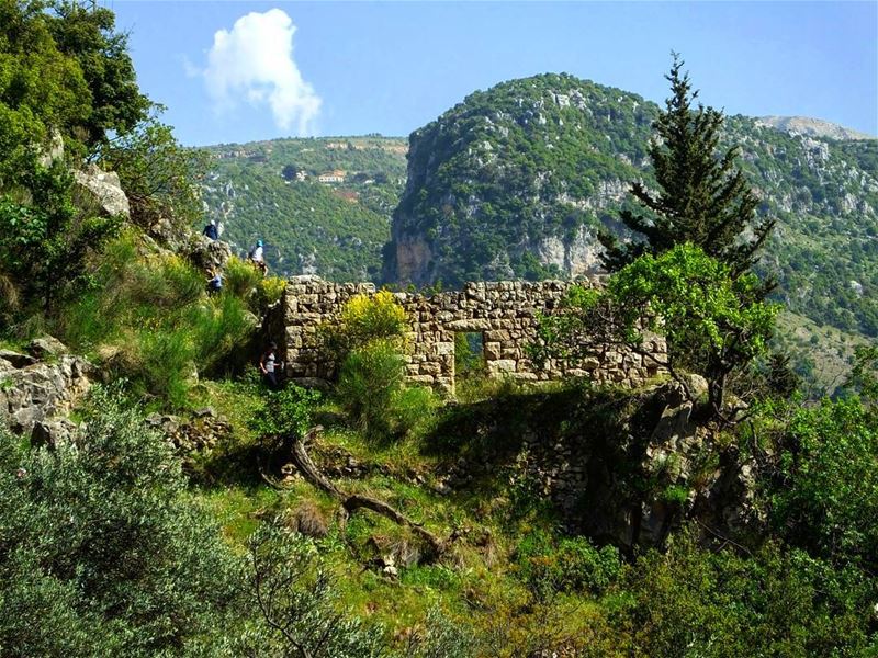  hiking  qannoubine  qannoubinevalley  annoubine  lebanon  green  culture ...