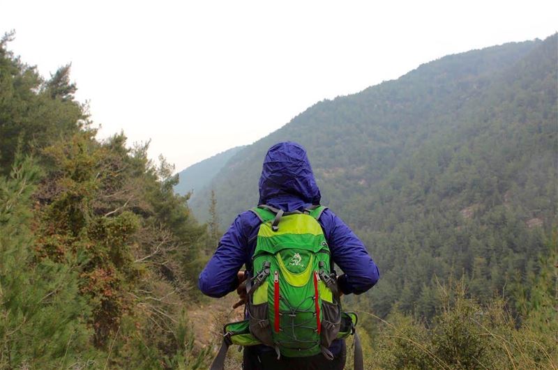  hiking  rainyday  lebanesemountains  mezyara  naturelovers  natureaddict ... (Saydet Mizyara)