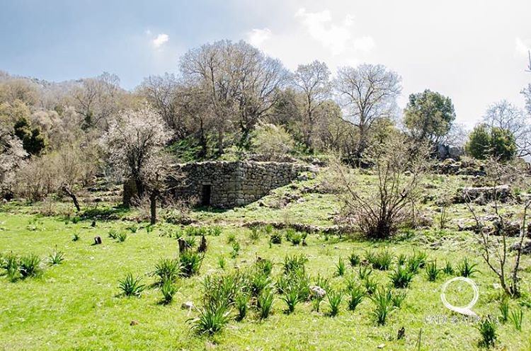 Hiking through the beautiful scenery at Jabal Moussa natural reserve...... (Jabal Moussa)