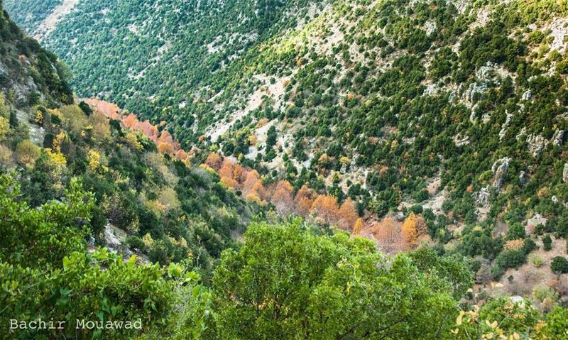  hiking  valley  river  nikon  nikonphotographer  picoftheday  kfardebian ...