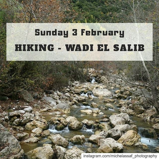 Hiking Wadi el Salib.Sunday 3 FebruaryGet ready to discover the beauty... (Wadi El Salib - Kfardebian)