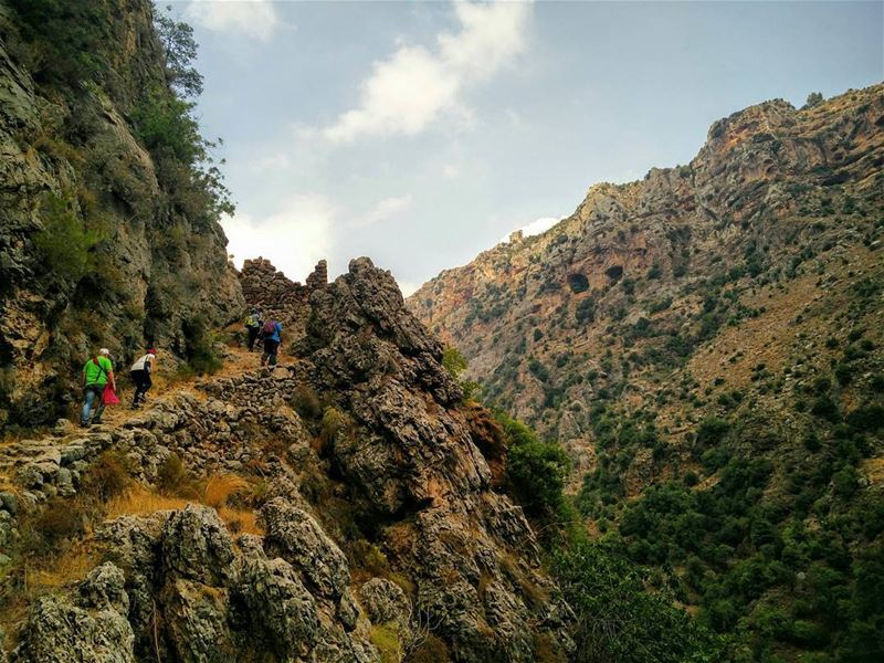 Hiking 🏔- Wede annoubin  north lebanon livelovelebanon livelovebesharre... (Ouâdi Qannoûbîne, Liban-Nord, Lebanon)