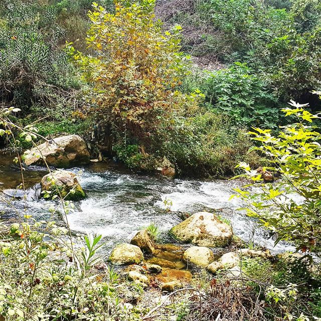  hikingadventure hikingtrail naturelover naturephotography naturebeauty... (Wadi Jhanam)