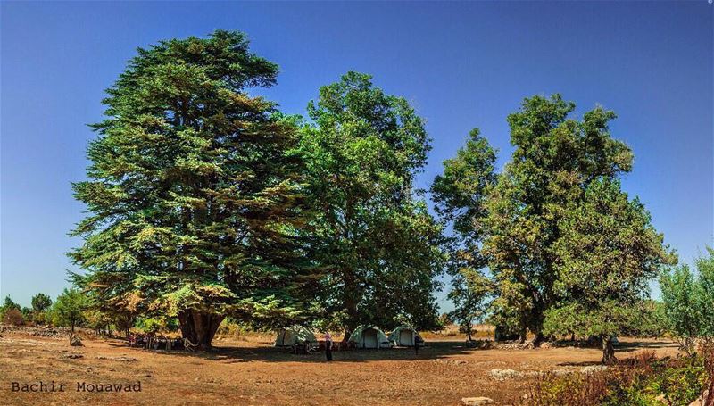  hikingadventures  hiking  qammouaa  photography  nikonphotography ...