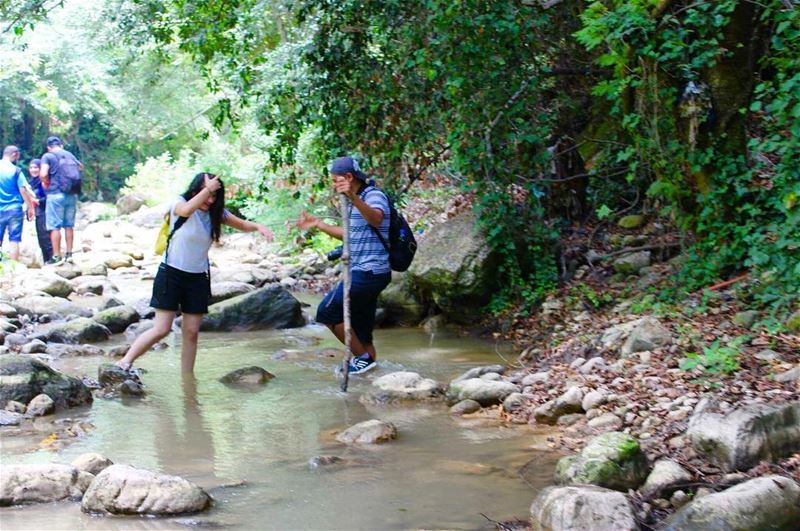  hikingadventures  riverwalk  naturelovers  greenworld  amazingday ... (Reshmaya)