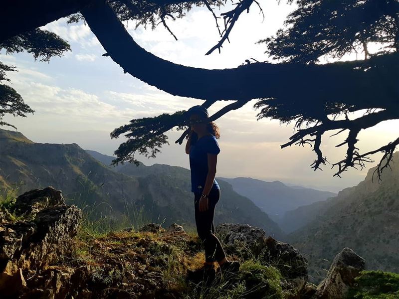  hikingislife hiking adventure lifehappensoutdoors motivate jouney10/💯...