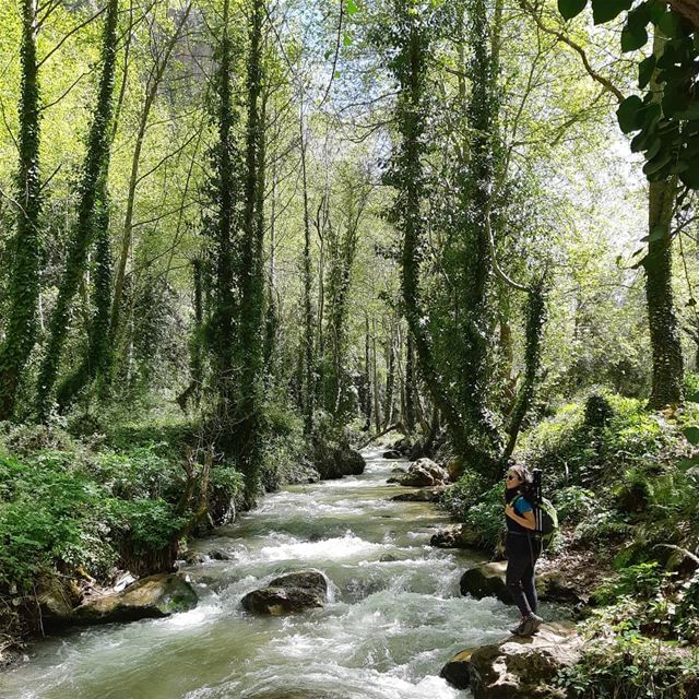  hikingislife womenwhoexplore womenwhohike hikerbabesorg100 jouney...