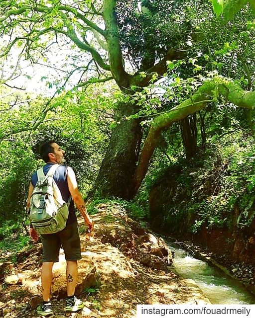  hikinglb  hiking🌲  hiking👣  hikingshoes  hikinglb🌳🍀🌿🍃☀️ ... (Naher El jouz)