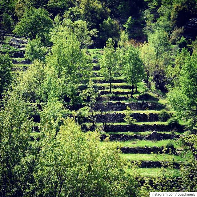  hikinglb  hikingirl  mountlebanon  mountainarecalling  hikers ... (Lebanon)