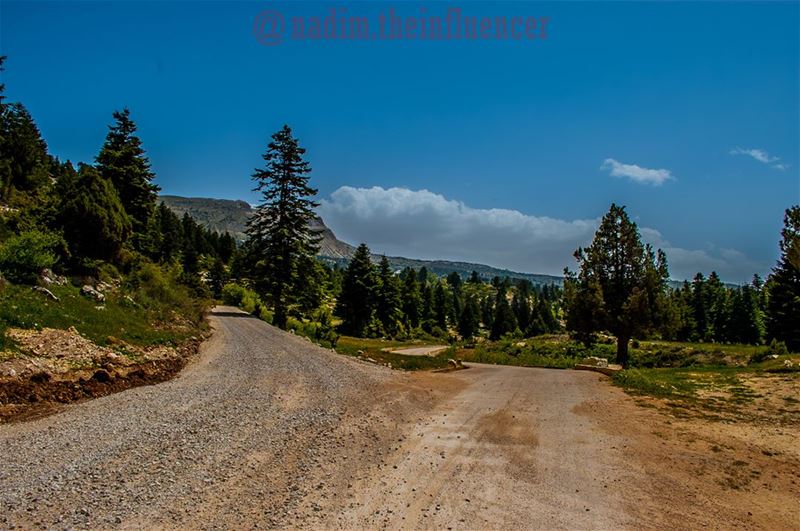  hikinglb  livelovelife  wearelebanon  igersbeirut  bestoflebanon ...