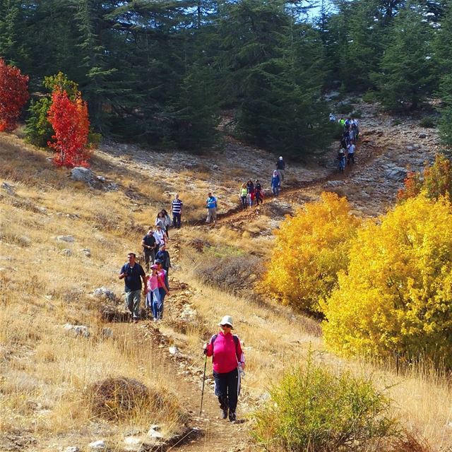  hikinglebanon  fall  autumn  hiking  lfl  nationalgeographic ... (Bâroûk, Mont-Liban, Lebanon)