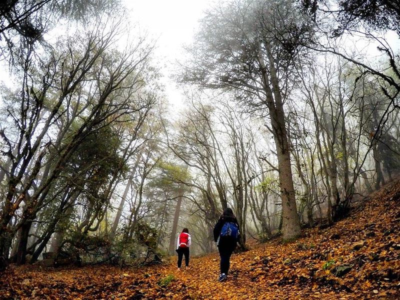  hikingmates  girlswhohike Hiking  Forest Ehden  HorshEhden  Lebanon... (Horsh Ehden)