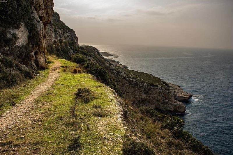 Hill and see view - Lebanon..... shore  rocks  seascape  seaview ... (Hamat)