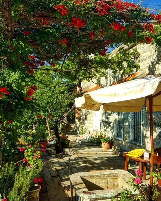 Home 🌸🏵🌹🌺🌺🌺🌱🌳🌿🌳🌳  beiteddine  home  oldhouse  lebanonhouses ...