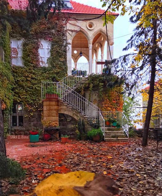 Home is not a place, it’s a feeling 🏡🍁 (Douma, Liban-Nord, Lebanon)