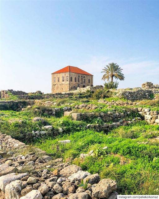 Home is not a place…it’s a... (Jbail, Mont-Liban, Lebanon)