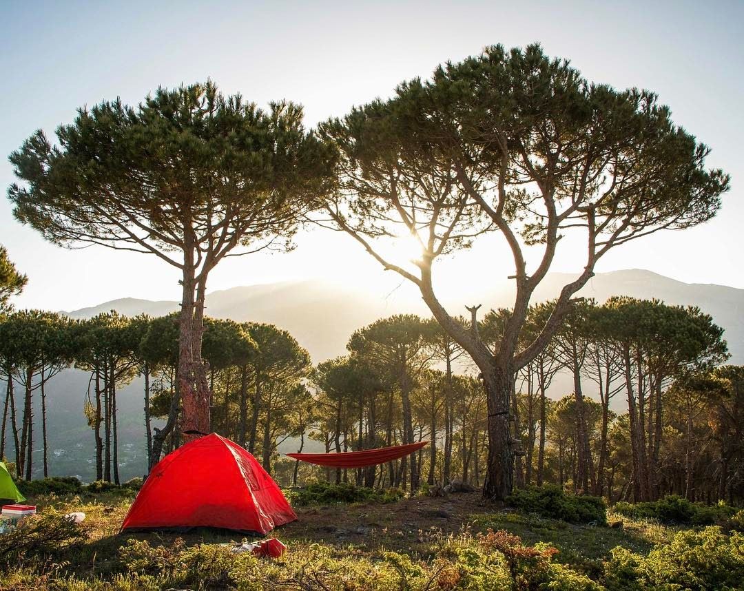Home is where you pitch your tent ! 🏕🌲.......... lebanon ...