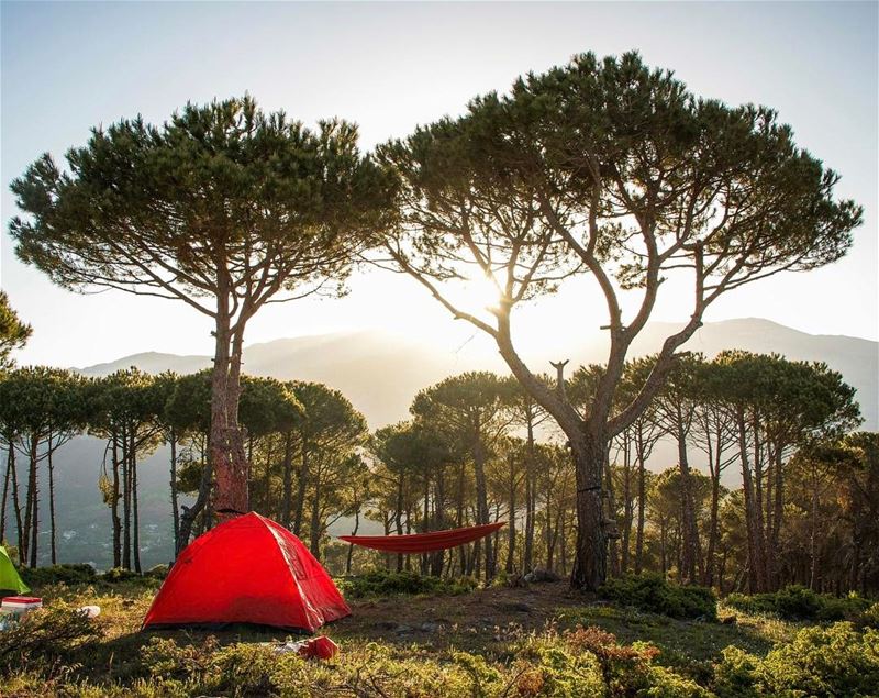 Home is where you pitch your tent ! 🏕🌲.......... lebanon ...