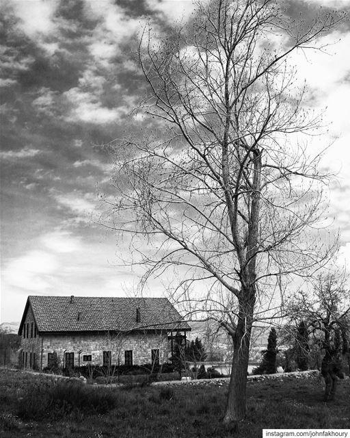 Home of mystery and... (Marjayoûn, Al Janub, Lebanon)