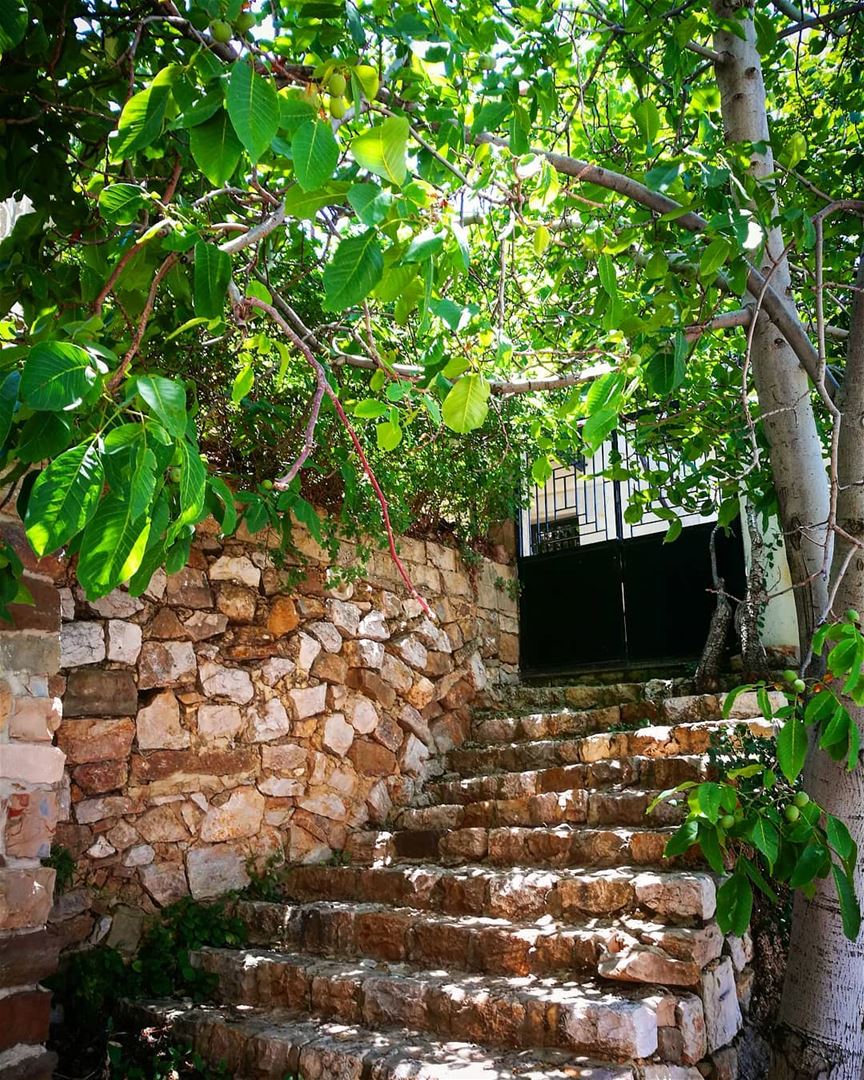 home 💜 stairs  home  bekaakafra  myvillage  myhometown  trees  joz ... (Bekaa Kafra)