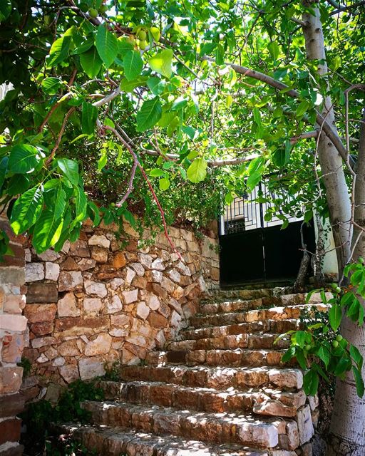 home 💜 stairs  home  bekaakafra  myvillage  myhometown  trees  joz ... (Bekaa Kafra)