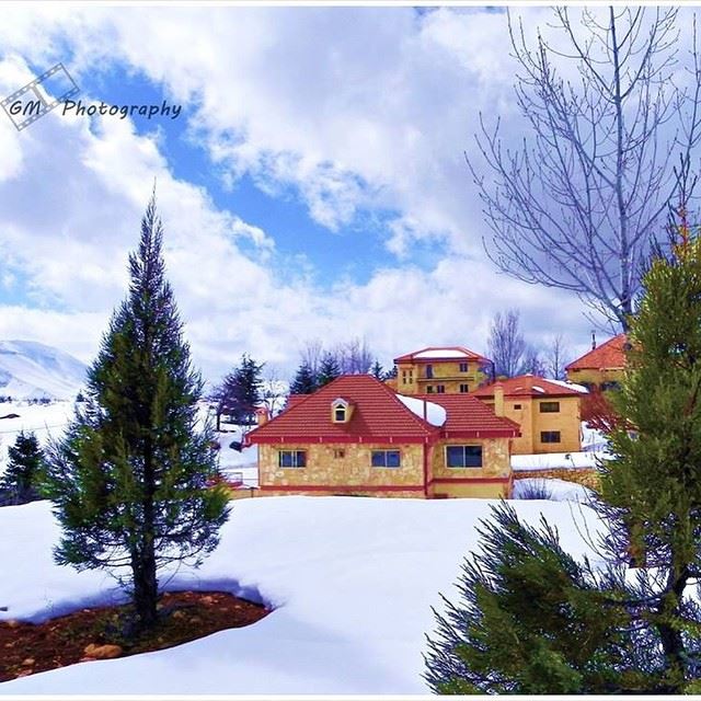 "Home sweet snowy home!"  snow  home  cedars  livelovecedars  livelovearz ...