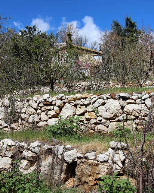 Homes can't hide 🏡 .......... Lebanon  hrajel  MountLebanon ... (Hrâjel, Mont-Liban, Lebanon)