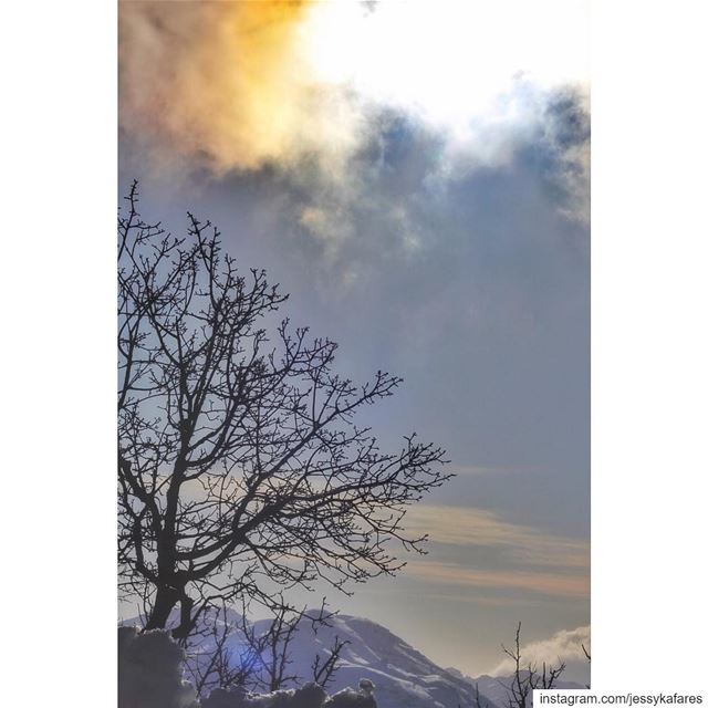 Hope is the dream of a soul awake.Never let go of hope. One day you will... (El Laklouk, Mont-Liban, Lebanon)