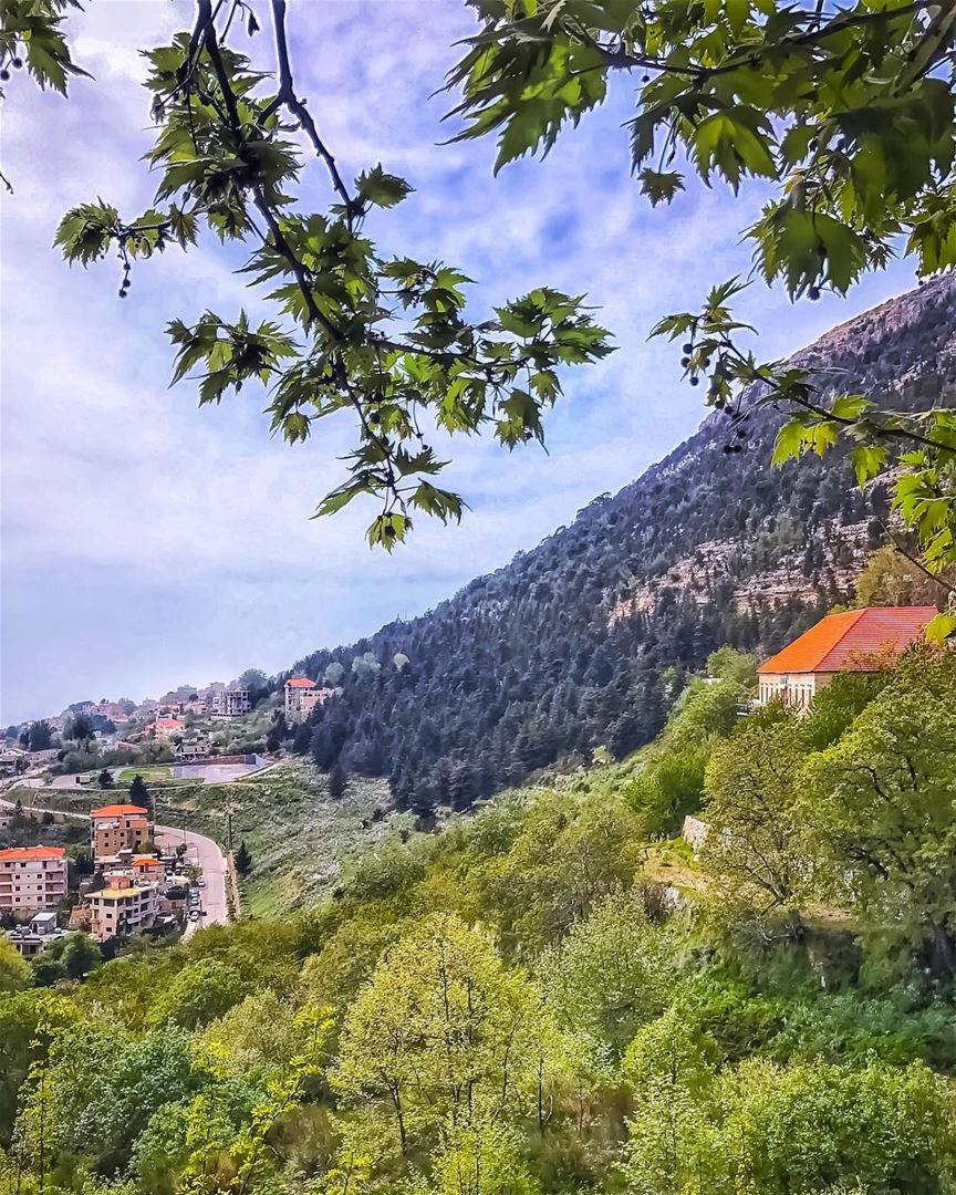 Hope is the thing with feathers,  that perches in the soul, and sings the... (Ehden, Lebanon)
