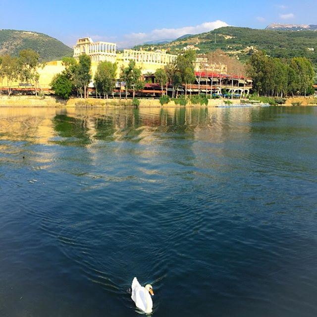 Hope is the thing with feathers that perches the soul, and sings the tune... (Lac de Bnashii)