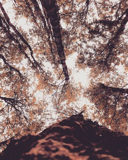 Hope that 2k18 brings more adventures and more amazing views like this 💛 (`Akkar, Liban-Nord, Lebanon)