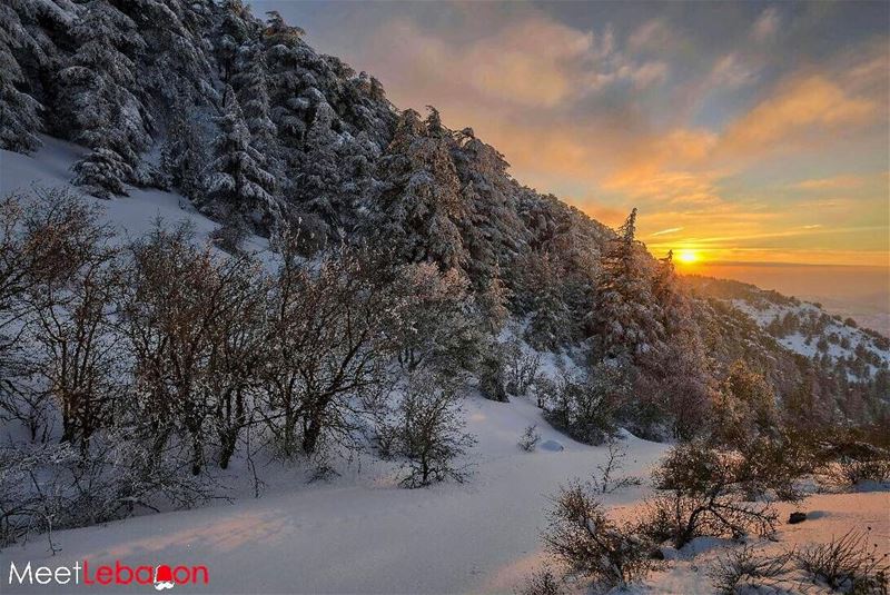 Hope you had a calm  monday  lebanon 🌄🇱🇧🌄 thanks @alaamonzer for... (Aïn Zhalta, Mont-Liban, Lebanon)