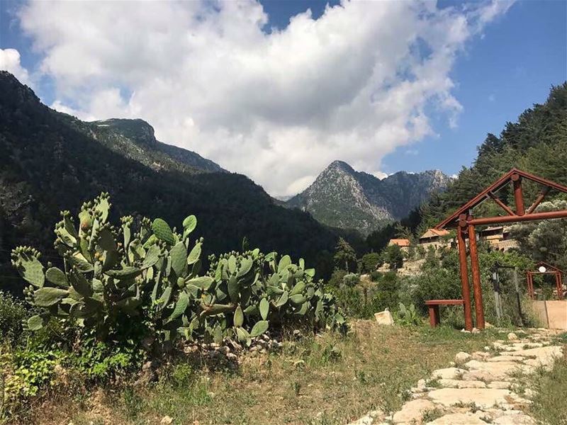 Hoping you spent a Happy Eid. JabalMoussa  Chouwan  unesco ...