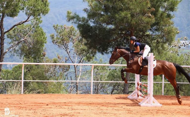  horse horses jumping competition jumpingcompetition race champion... (Lebanese Equestrian Center)