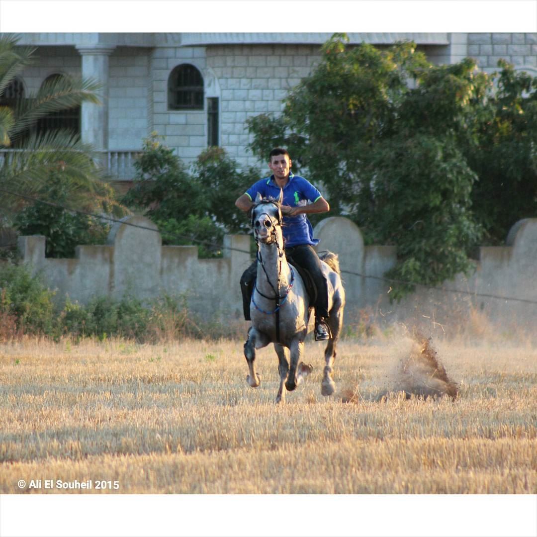  horse  horsing  friend  south_lebanon  southlebanon  lebanon  colorful ... (Kherbet Al Dwair)