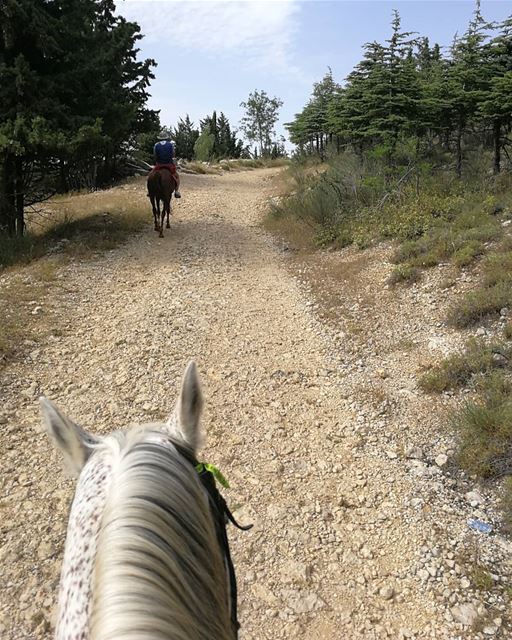  horseride rideinnature ainzhalta track lebanon hobby horse horses nature... (Aïn Zhalta, Mont-Liban, Lebanon)