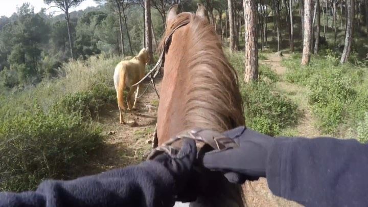  Horses make a landscape look beautiful 🏇🏼••••• horsebackriding ... (Beit Meri, Mont-Liban, Lebanon)