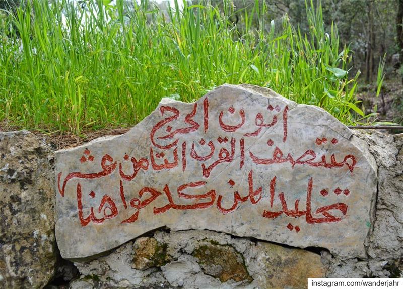 Horsh Baaklin 🌱🌳🍃⛰🌻🌸  lebstory  lebanontraveler  lebanonbyalocal ... (حرش بعقلين)