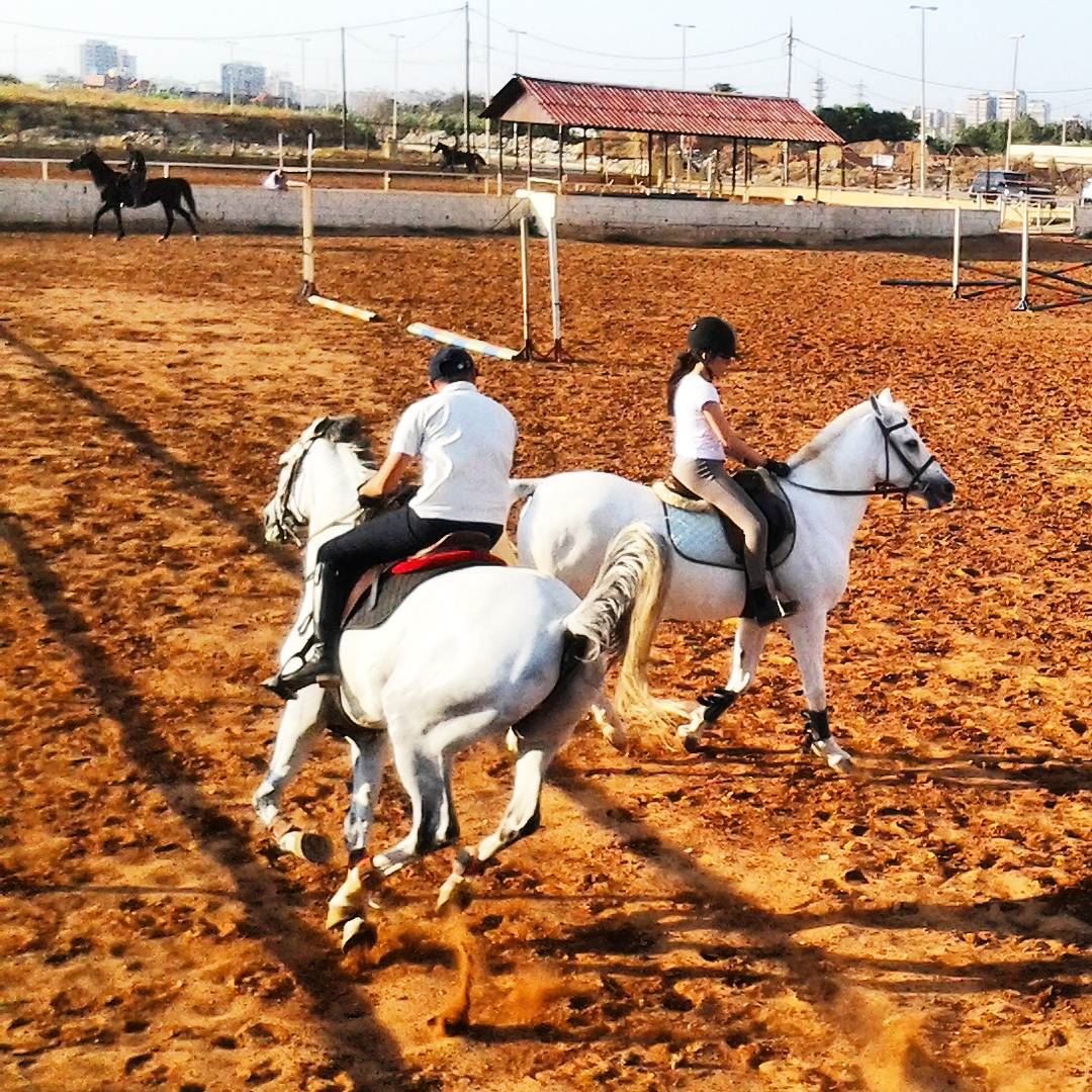 Horsing is one of the many many activities that you can enjoy while you're...