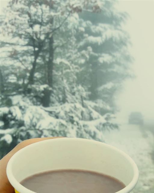 ☕❄❄❄  HotChocolate  Hot  Drinking  AlArz  Cedars  Bsharri  Lebanon ... (El Arz, Liban-Nord, Lebanon)