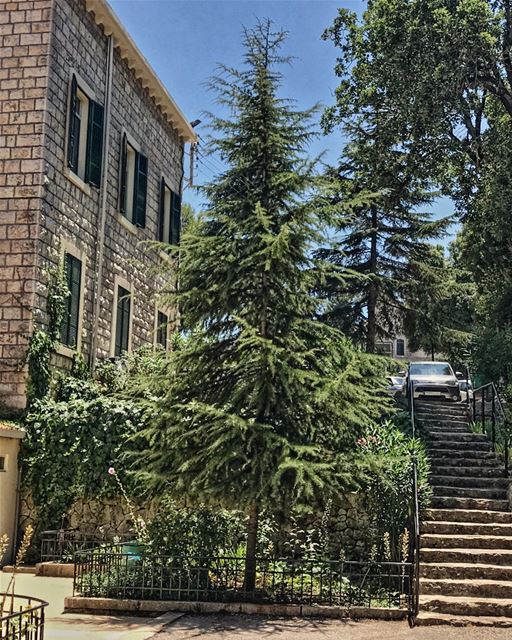  house  cedar  cedartrees  lebanon🇱🇧  amazing  nice  weather  nature ...