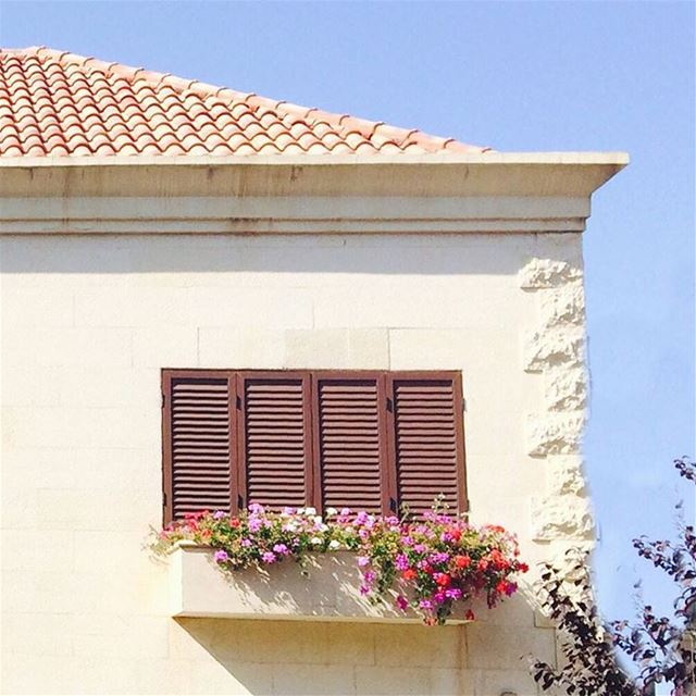  house  flowers  window  sky  brick  brickhouse  sunny  day  capturedbyme ...
