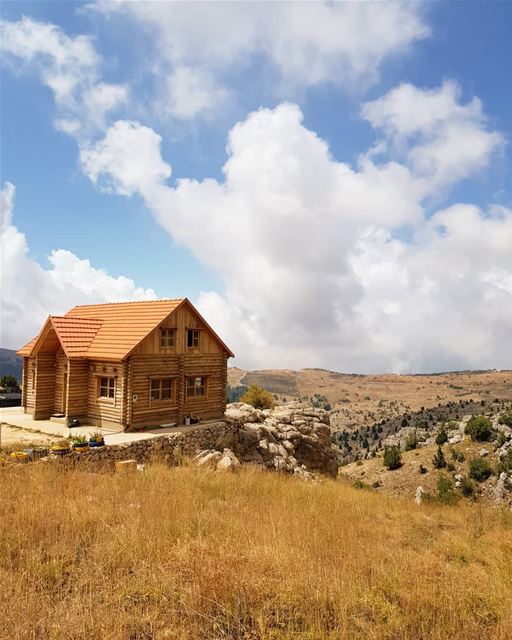 House upon the hill🏠.. livelovetannourine mountain woods cedars beauty... (Arz Tannoûrîne)