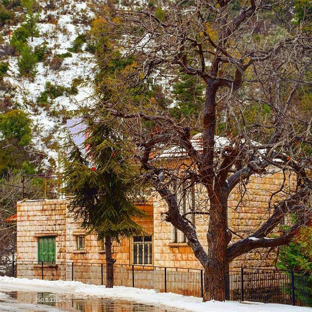  houses house winter snow snowy oldhouses ig_myshot ig_myshots epicshot... (Kfar Hoûné, Al Janub, Lebanon)