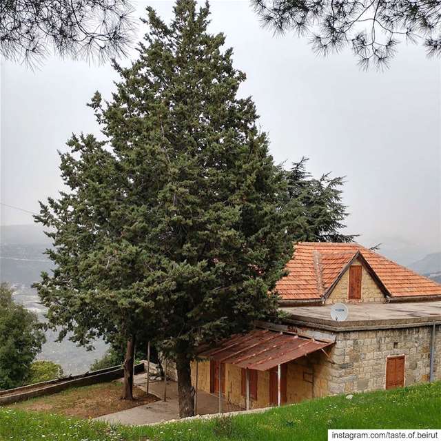 Houses I’d not mind be quarantined in.  quarantine  privatehomes ... (Lebanon)
