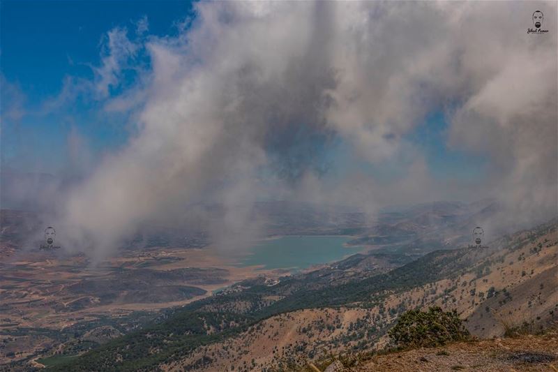 How about a closer look!!... (Al Shouf Cedar Nature Reserve)